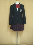 ブルセラ通販:使用済制服−その他の制服セット