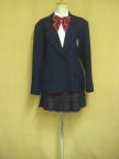 ブルセラ通販:使用済制服−その他の制服セット