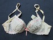 ブルセラ通販:使用済下着−女子大生のブラジャー