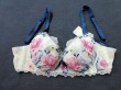 ブルセラ通販:使用済下着−女子大生のブラジャー