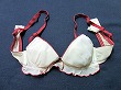 ブルセラ通販:使用済下着−女子大生のブラジャー