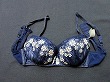 ブルセラ通販:使用済下着−女子大生のブラジャー