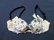 ブルセラ通販:使用済下着−女子大生のブラジャー