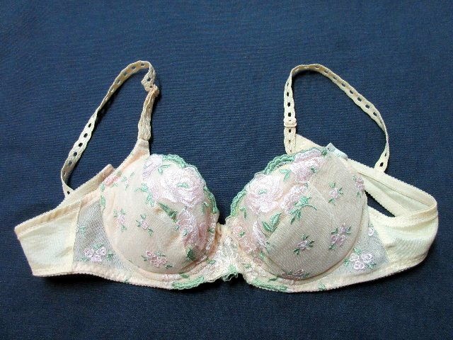 ブルセラ通販:使用済下着−OL、営業、ショップ定員のブラジャー