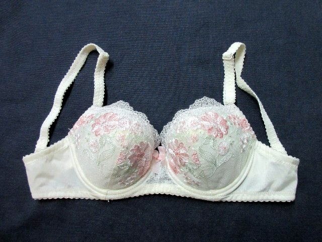 ブルセラ通販:使用済下着−OL、営業、ショップ定員のブラジャー