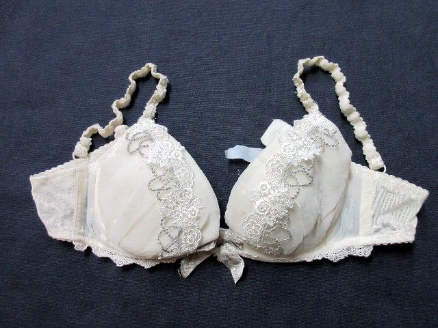 ブルセラ通販:使用済下着−OL、営業、ショップ定員のブラジャー