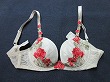 ブルセラ通販:使用済下着−人妻のブラジャー