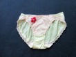 ブルセラ通販:使用済下着−女子大生のパンティー