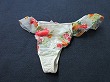 ブルセラ通販:使用済下着−OLのパンティー