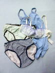 ブルセラ:女子高生−制服・使用済下着・使用済ルーズソックス・使用済スクール水着・使用済部活衣類、他
