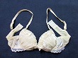 ブルセラ通販:使用済下着−女子高生のブラジャー