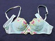 ブルセラ通販:使用済下着−女子高生のブラジャー
