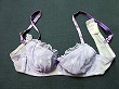 ブルセラ通販:使用済下着−女子高生のブラジャー
