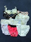 ブルセラ通販:使用済下着−ぬくもりセット