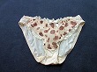 ブルセラ通販:使用済下着−OLのパンティー