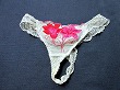 ブルセラ通販:使用済下着−OLのパンティー