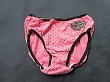 ブルセラ通販:使用済下着−生理用パンティー
