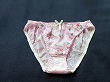 ブルセラ通販:使用済下着−生理用パンティー