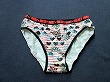 ブルセラ通販:使用済下着−女子小・中学生のパンティー