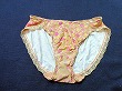 ブルセラ通販:使用済下着−女子小・中学生のパンティー