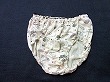 ブルセラ通販:使用済下着−女子小・中学生のパンティー